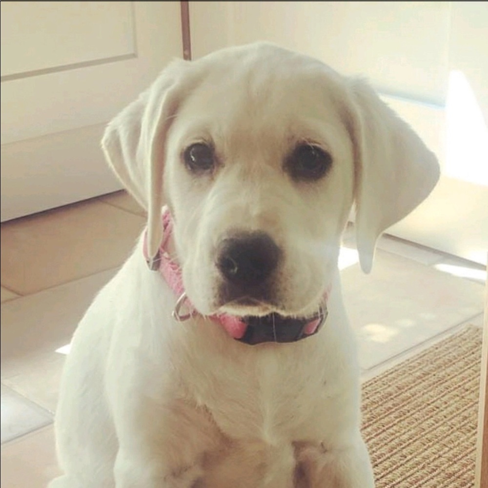 Meet your Posher, Marc